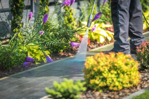 Best Parking Lot and Garage Cleaning  in Jarrell, TX